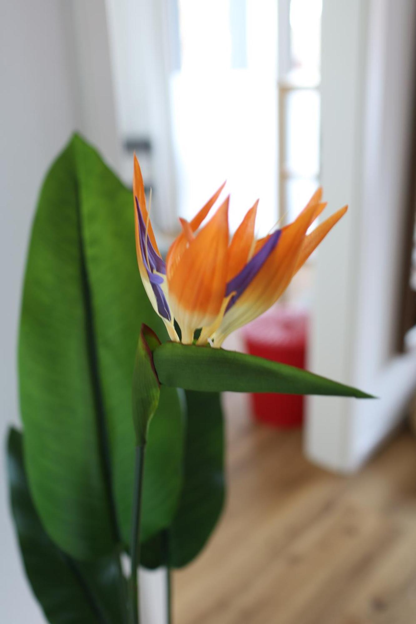 Apartment "London" In Erftstadt - 3 Zimmer & 63Qm - Nahe Koeln, Messe, Phantasialand & Bonn - Familienurlaub Oder Business Trip מראה חיצוני תמונה